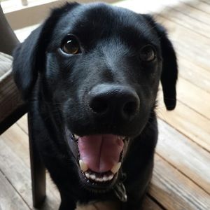 Meet your Posher, Stacey